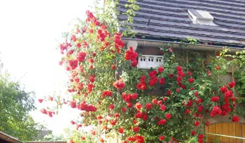 Abbildung 10: Nistkasten, © S. Mann