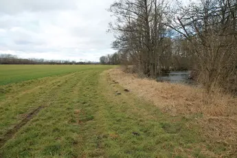 Abbildung 4: Pufferstreifen, © F. Baumgärtel