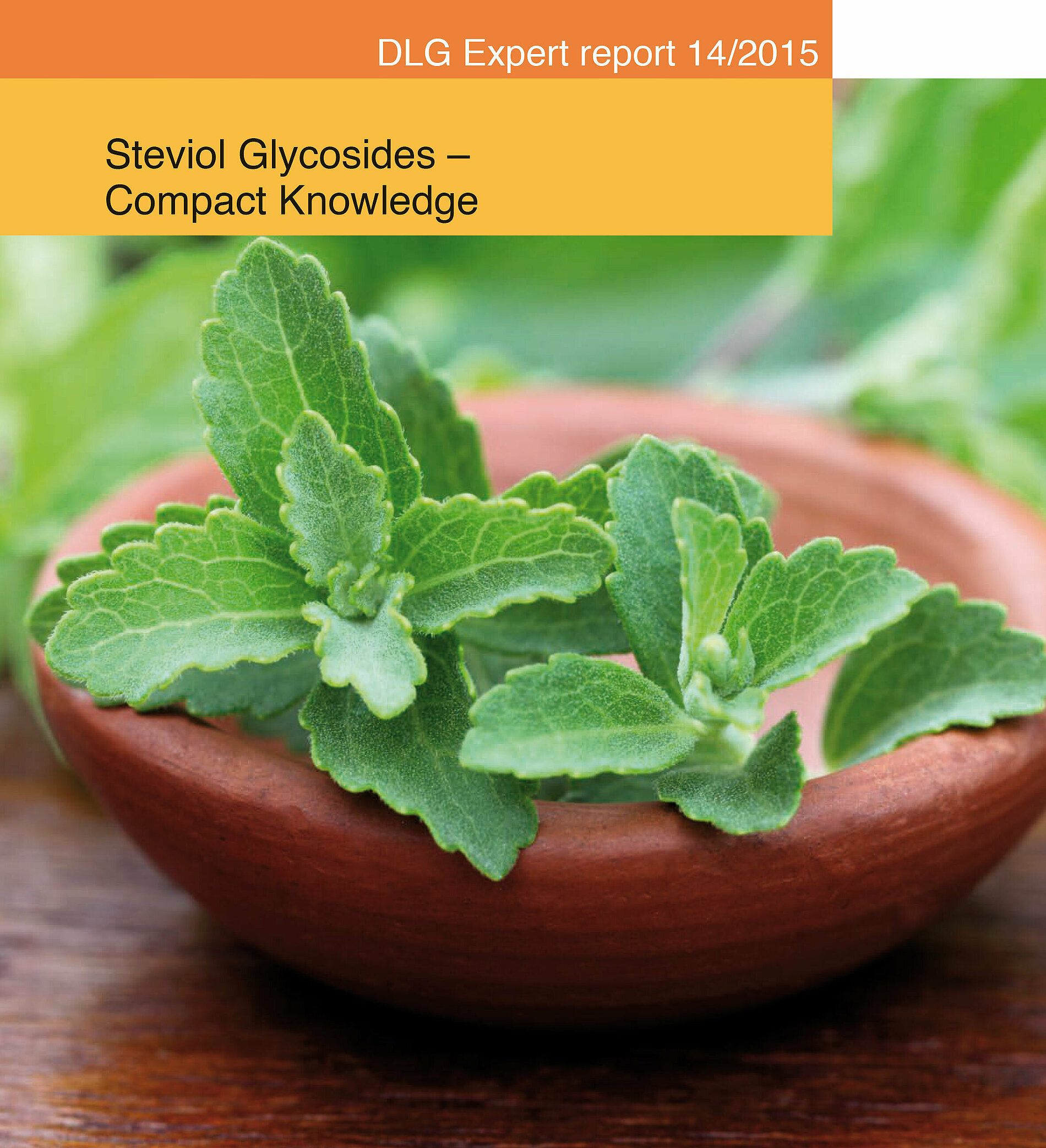 Steviol Glycosides – Compact Knowledge