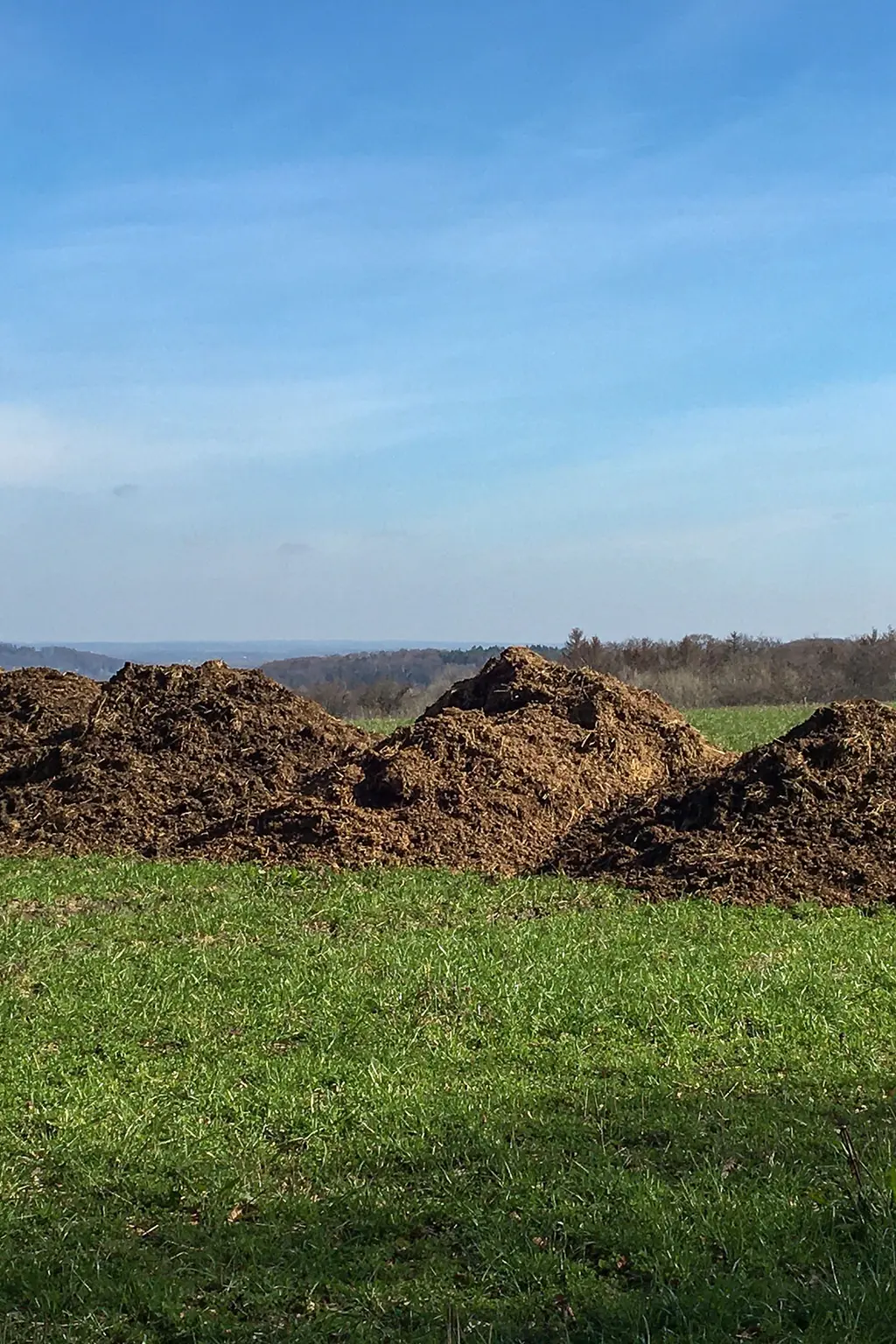 Pflanzenernhrung: Dngung von Wiesen, Weiden und Feldfutter
