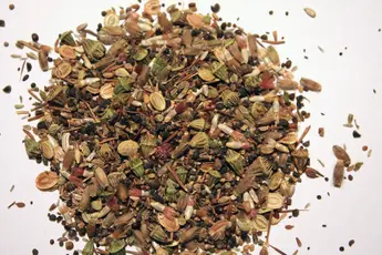 Abbildung 6: Mehrjährige Saatmischung © Foto: Sandra Mann, Hochschule Anhalt