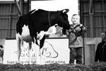 CDX takes place annually