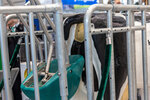 EuroTier presents dairy innovations