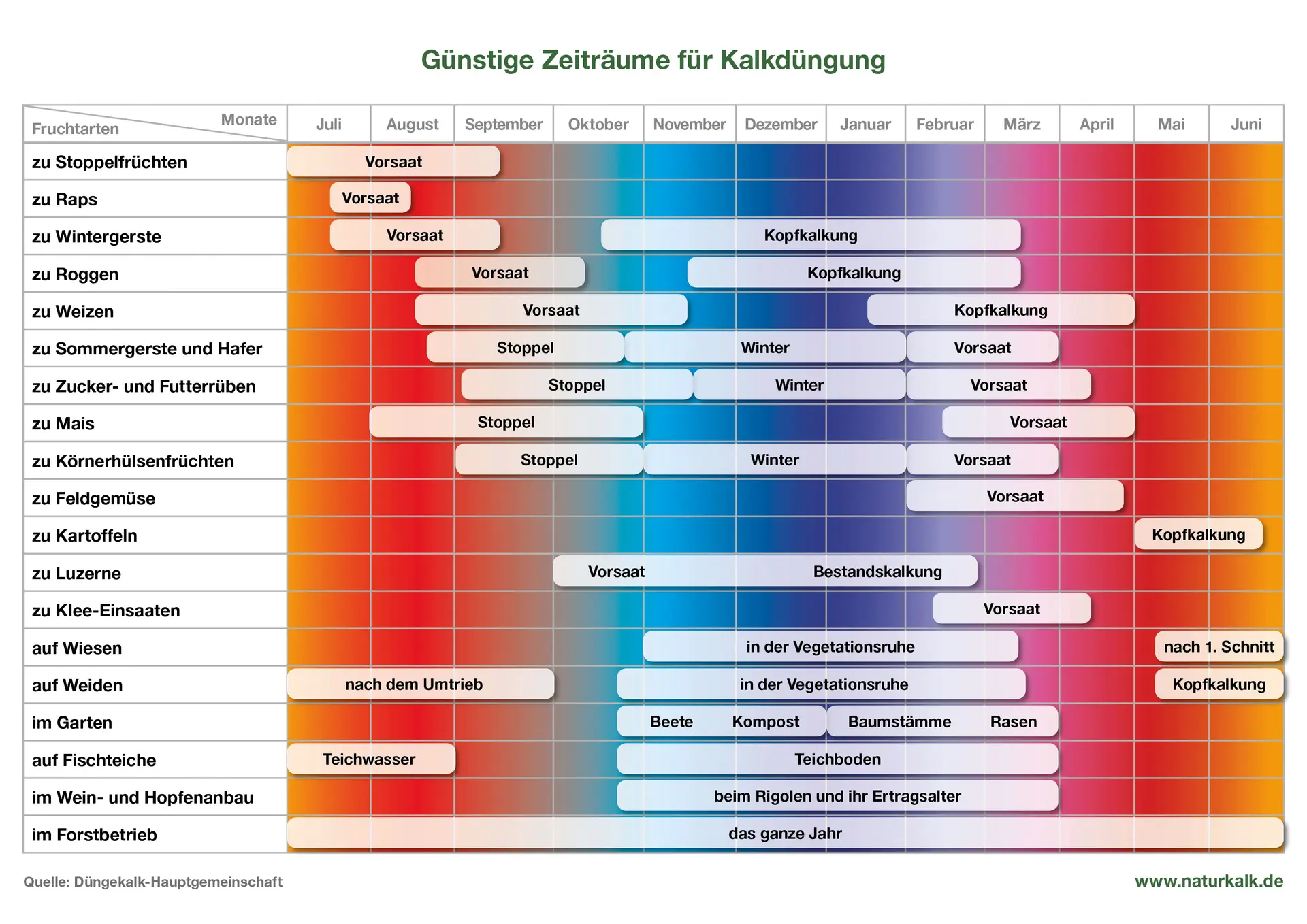kakteen dünger Kaktus Dünger von Flora Boost für gesundes Wachstum main image 0