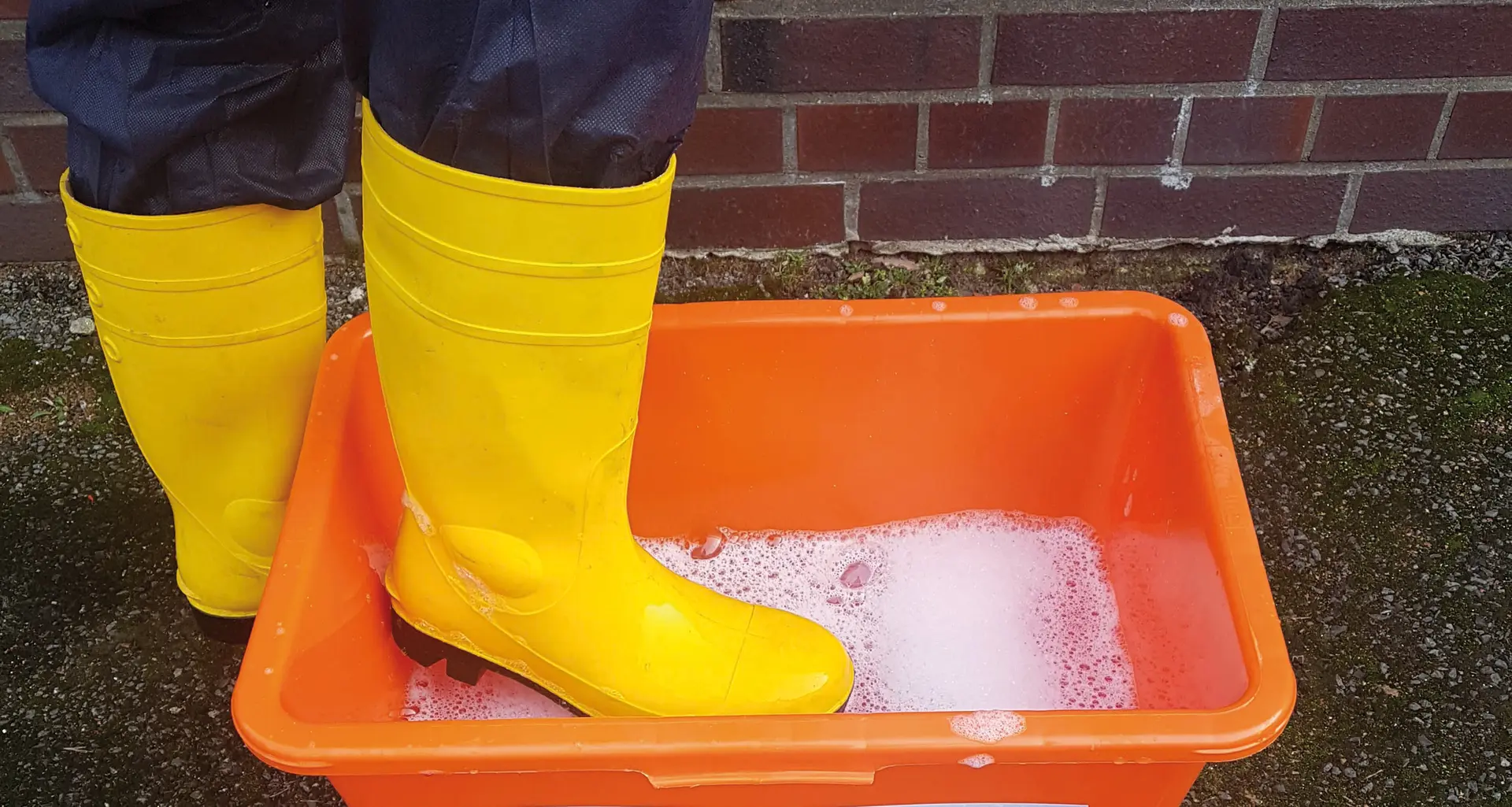 Gymmistiefel in Desinfektionsbad. Foto: Agravis