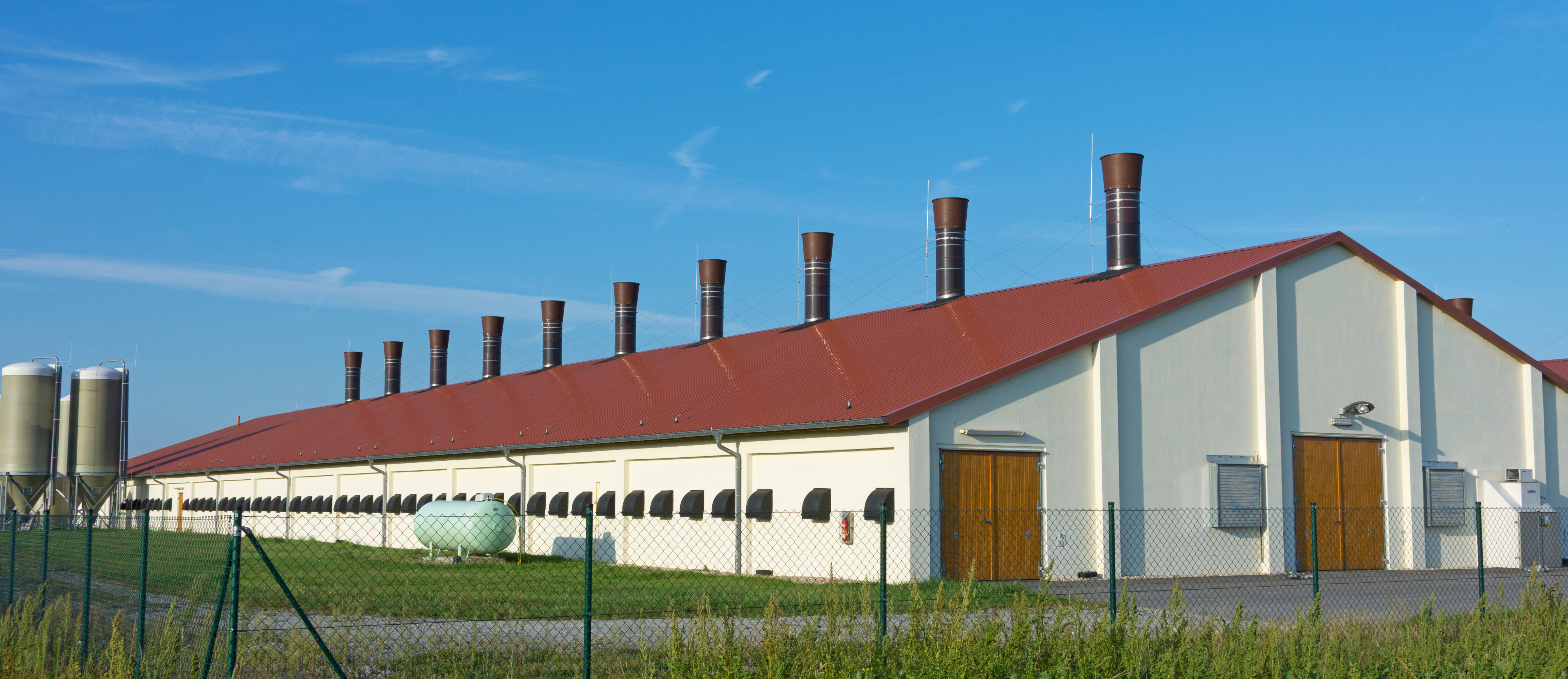 Foto: Fotolia