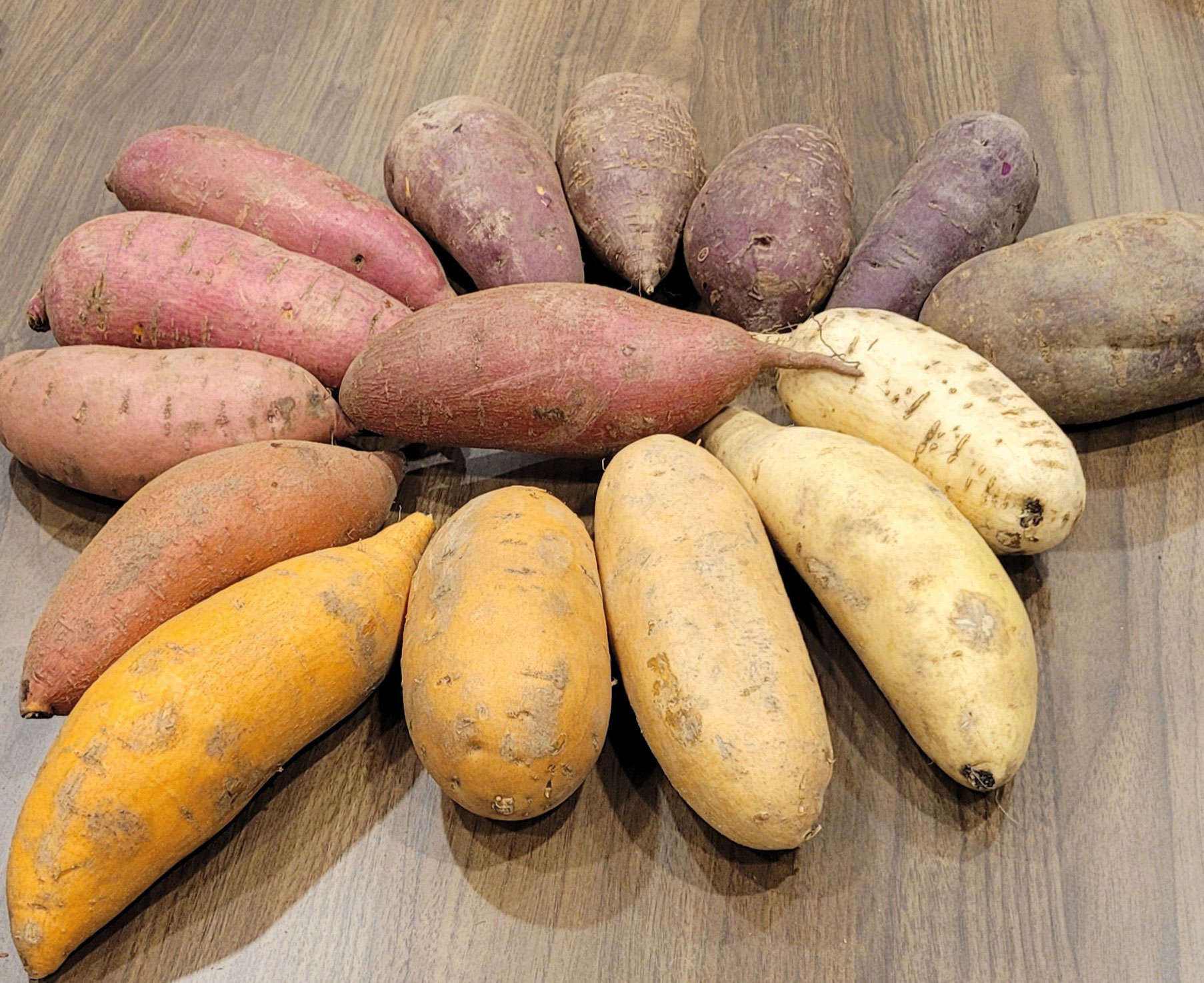Seltene Kombination: S und gesund!