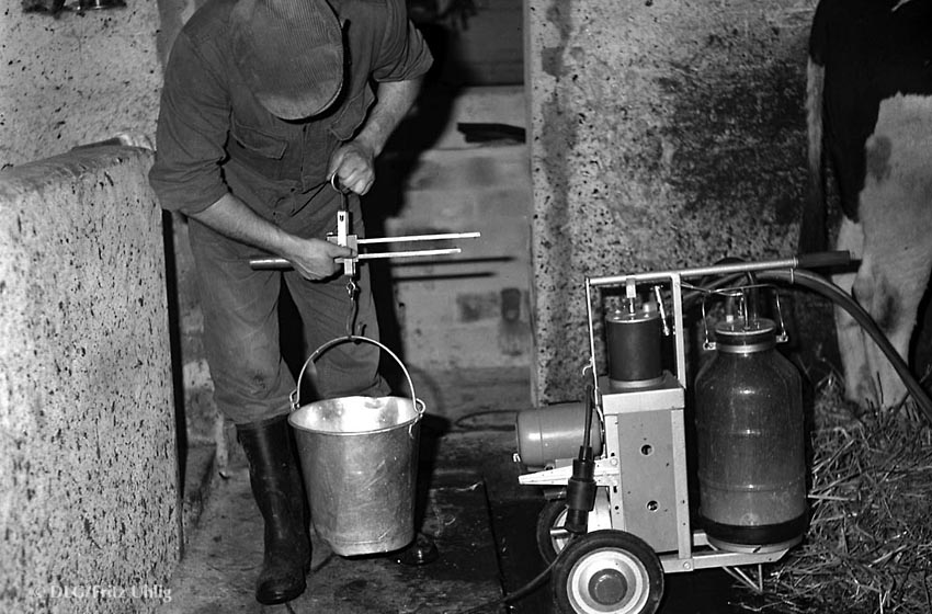 Prüfung einer Melkmaschine Völkenrode, 1963